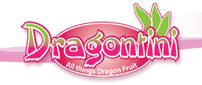 Dragontini logo
